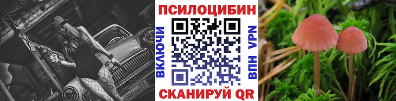 Купить где  Хилок  Галлюциногенные грибы Psilocybine cubensis 